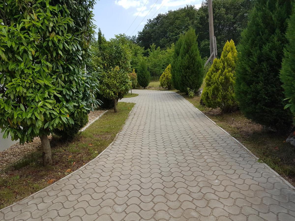 Zlaten Briz Villa Osenovo Exterior photo